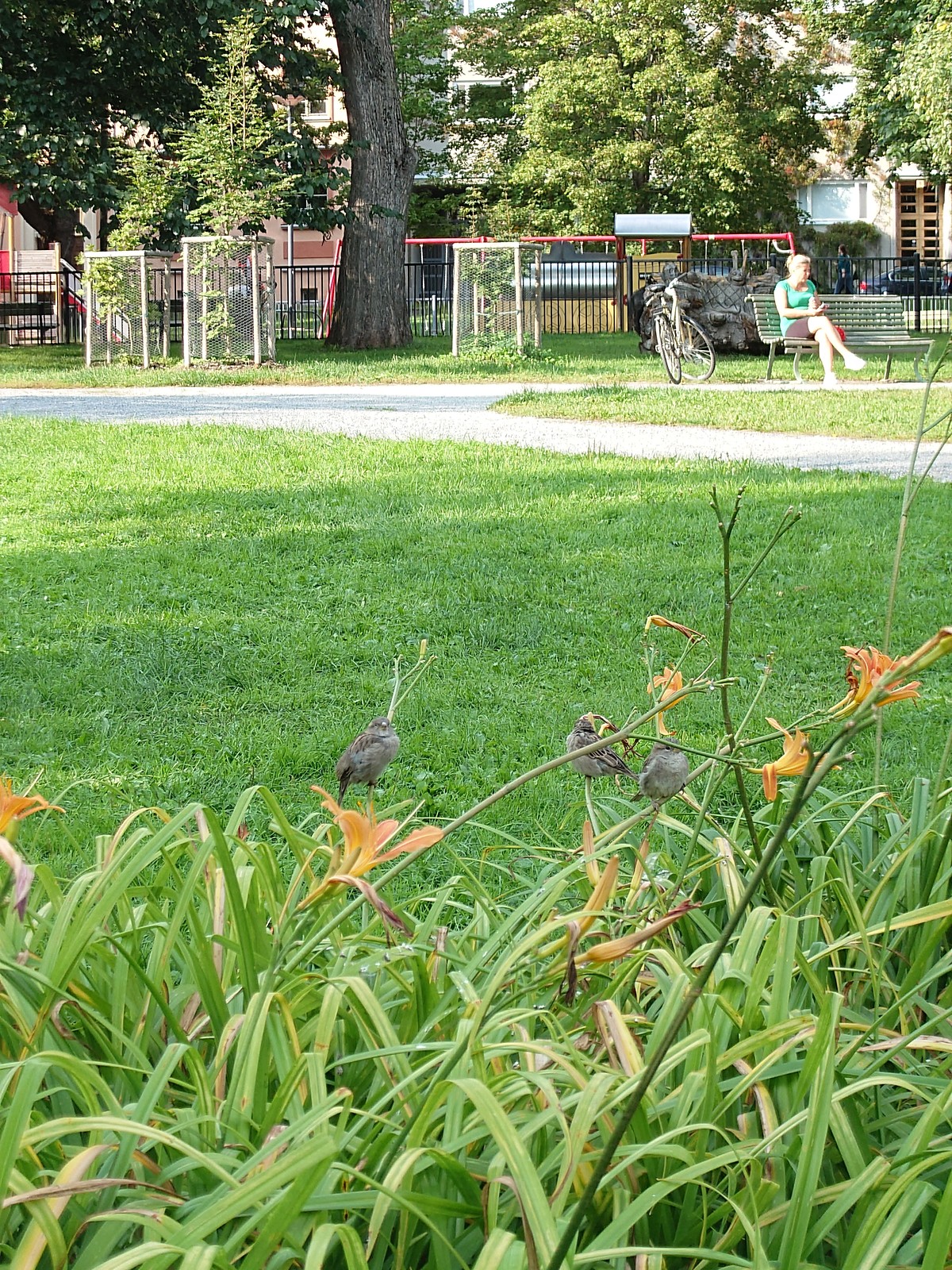 美術館外の公園でベンチに座る人と芝生の鳥