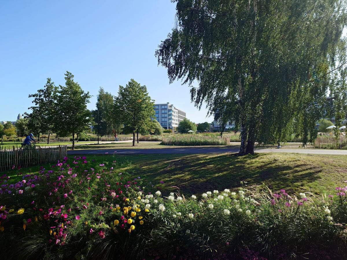 木立に囲まれた公園の花壇